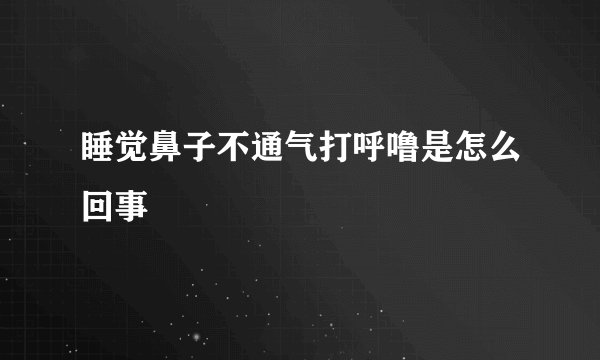 睡觉鼻子不通气打呼噜是怎么回事