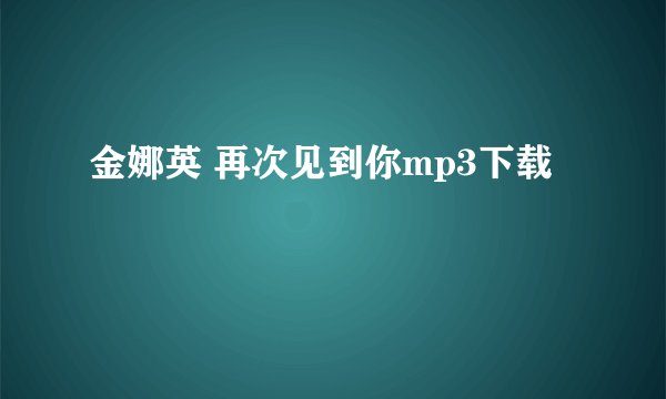 金娜英 再次见到你mp3下载