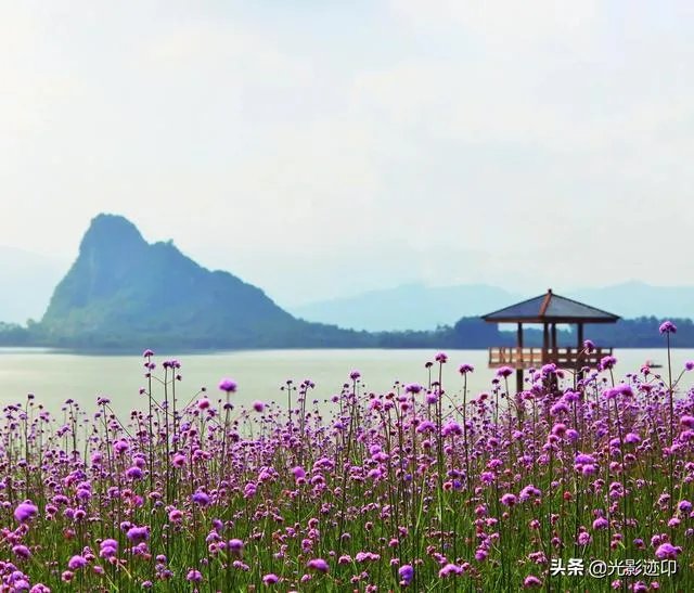 有什么入门单反推荐?跪谢？