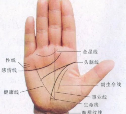 手相怎么看婚姻 手相怎么看有几次婚姻
