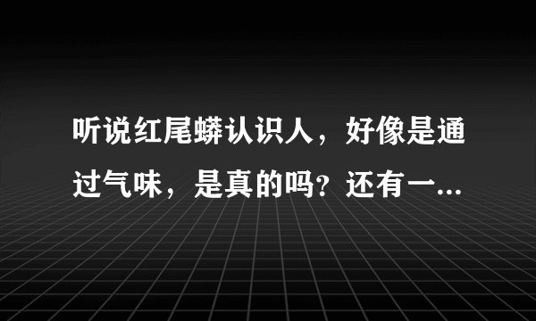 听说红尾蟒认识人，好像是通过气味，是真的吗？还有一般长多大？