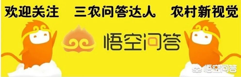 如果人常不在家住还要交卫生费吗