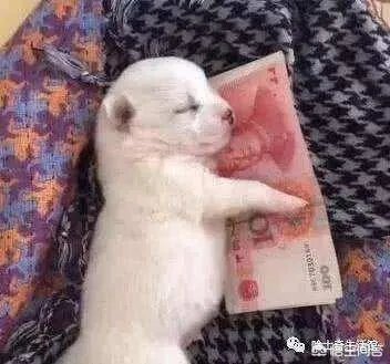 2018年底教师会涨工资吗？如果涨会涨多少？