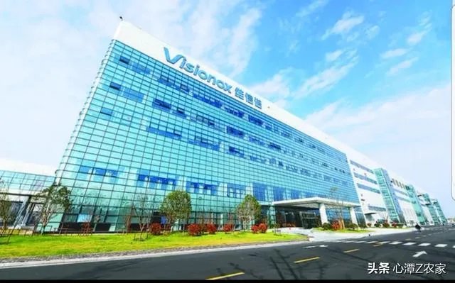 世界显示 “屏”什么看合肥？