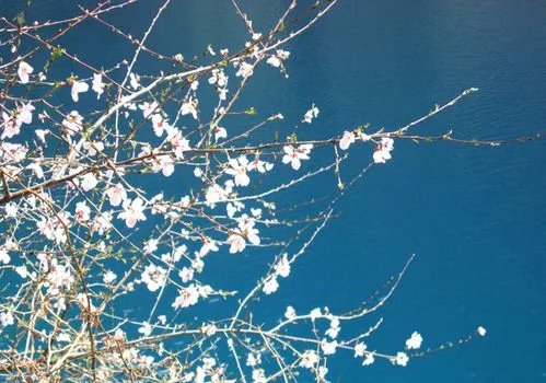 九寨沟旅游自助旅游全攻略