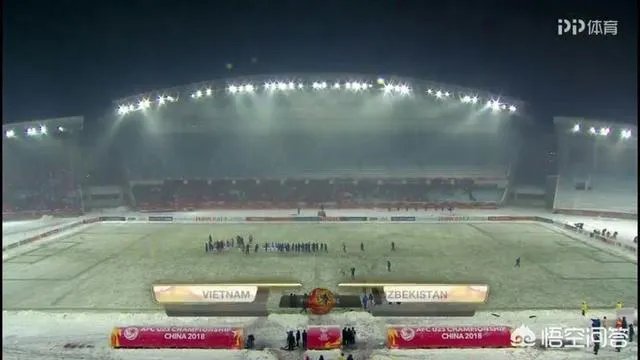 乌兹别克斯坦绝杀越南，结果是在意料之中吗？