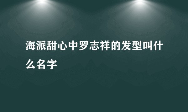 海派甜心中罗志祥的发型叫什么名字
