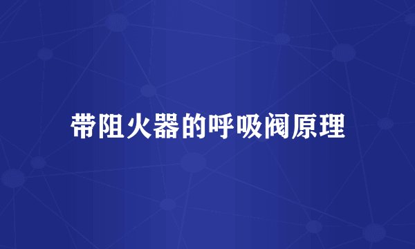 带阻火器的呼吸阀原理