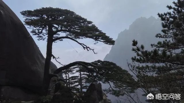 在你看来“江南四大名城”（南京、扬州、苏州、黄山）哪个最美？