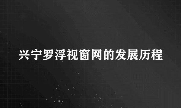 兴宁罗浮视窗网的发展历程