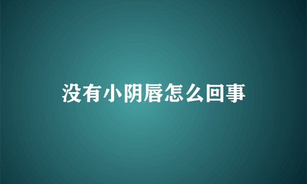 没有小阴唇怎么回事