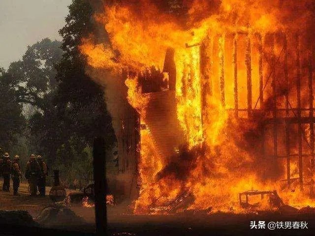 森林大火加拿大澳大利亚