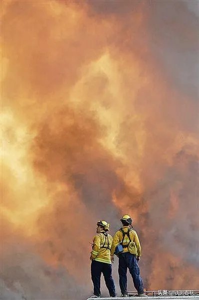 森林大火加拿大澳大利亚