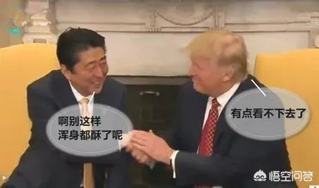 安倍强硬表态不会在中东问题上站队美国，你怎么看？