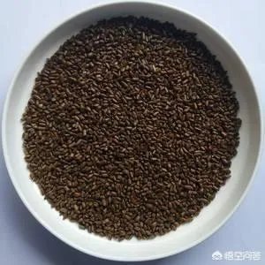 黄连、决明子和密蒙花泡水喝的功效是什么？