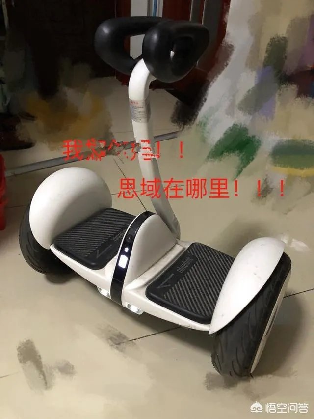 思域是个什么梗？