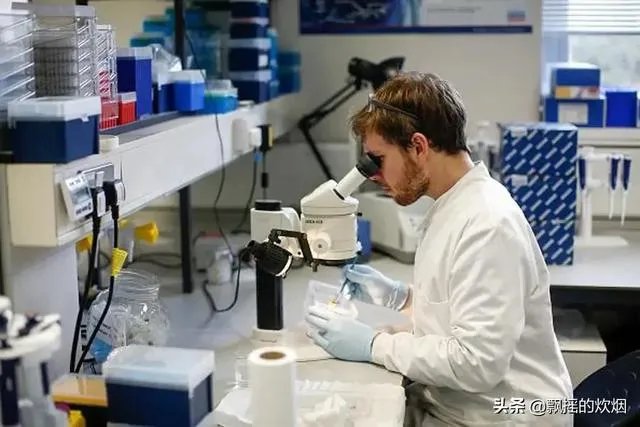 英国首个新冠人体实验,千人自愿感染,若国内尝试,会怎样?