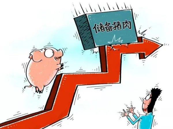 约20万吨！全国投放猪肉储备数量将达单月历史最高水平，还有哪些信息？