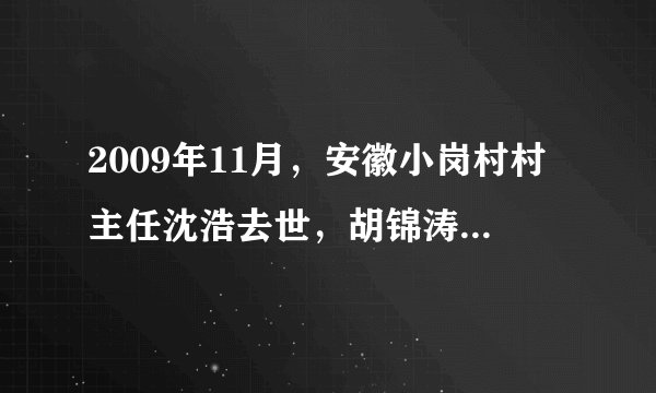 2009年11月，安徽小岗村村主任沈浩去世，胡锦涛总书记致慰问电。作为我国农村改革的发源地，小岗村率先