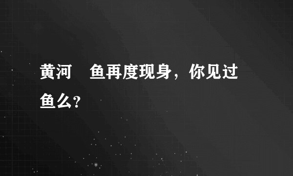黄河鱽鱼再度现身，你见过鱽鱼么？