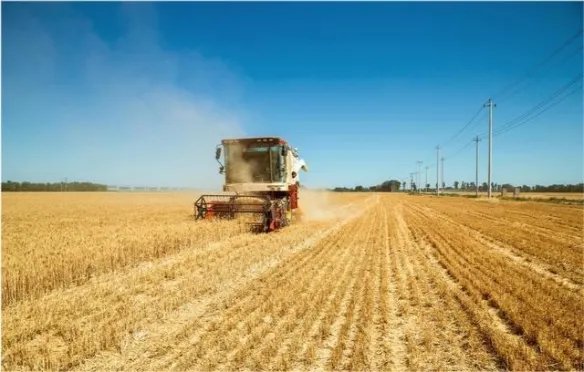 割麦污染环境？农民得花钱喷淋降尘才准割 官方回应
