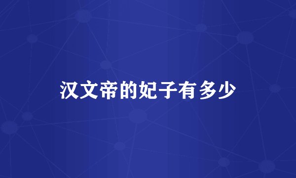 汉文帝的妃子有多少