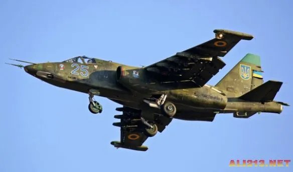 众说纷纭:到底是谁击落了马航MH17航班的客机？