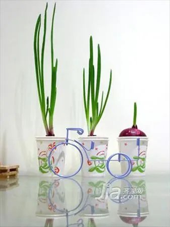 90平爱的温馨家 橙黄绿的组合