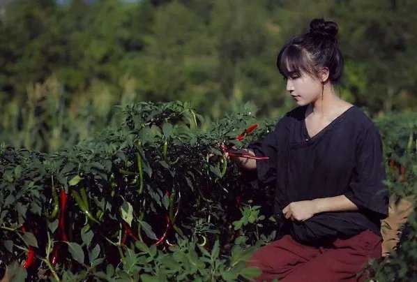 2020中国十大网红排行榜：李佳琦上榜，第一火爆海外