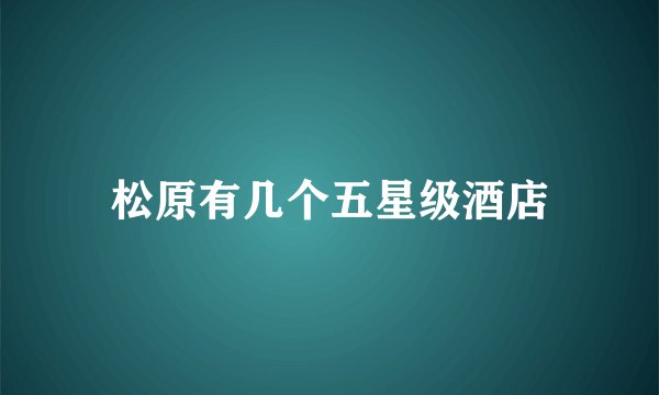松原有几个五星级酒店