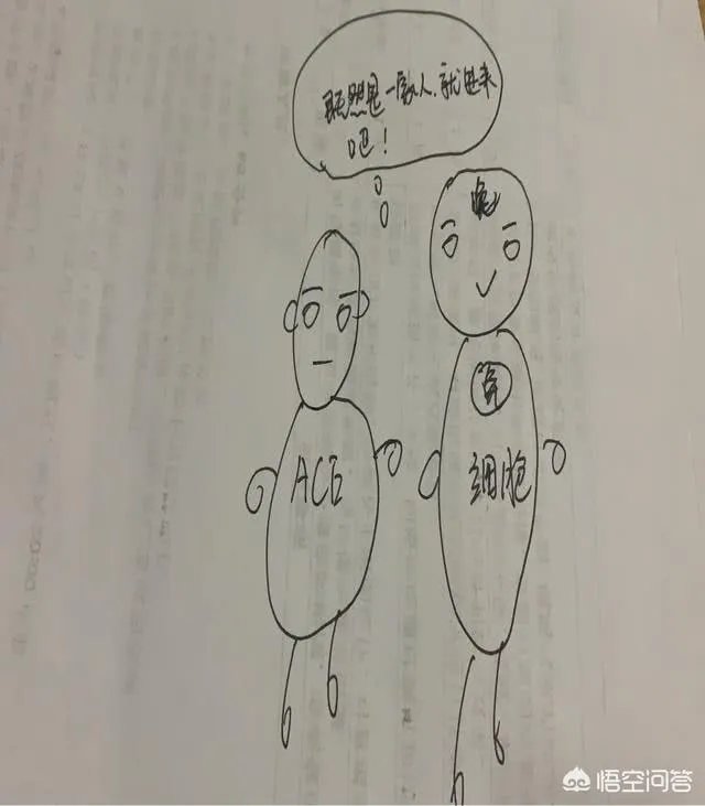 特朗普是否可能感染了新冠肺炎？