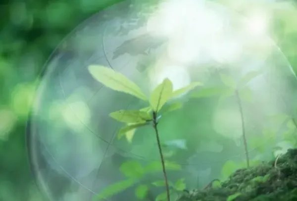 重庆市民称多地闻到刺鼻臭味，当地的空气指数处于什么水平？