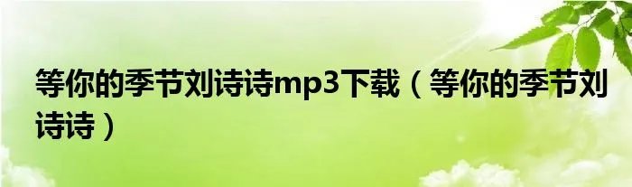 等你的季节刘诗诗mp3下载（等你的季节刘诗诗）