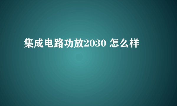 集成电路功放2030 怎么样
