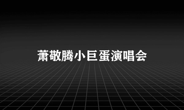 萧敬腾小巨蛋演唱会