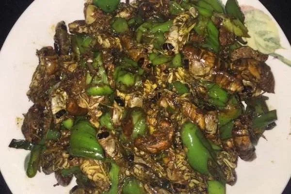 一家三口吃炸死知了中毒，是什么原因导致中毒的？