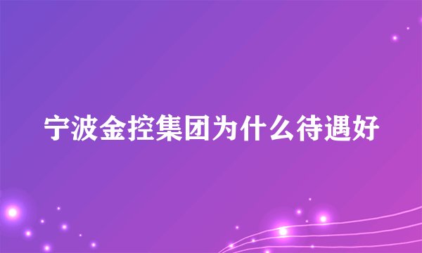 宁波金控集团为什么待遇好