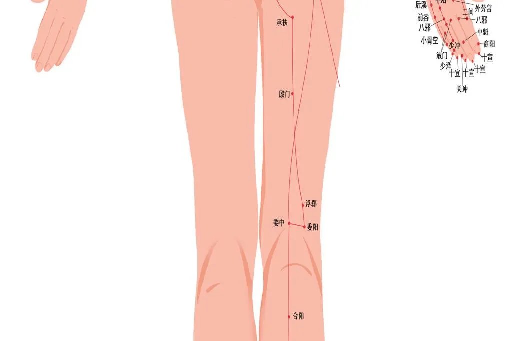 人体经络示意图