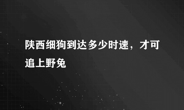 陕西细狗到达多少时速，才可追上野兔