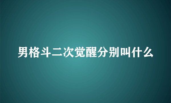 男格斗二次觉醒分别叫什么