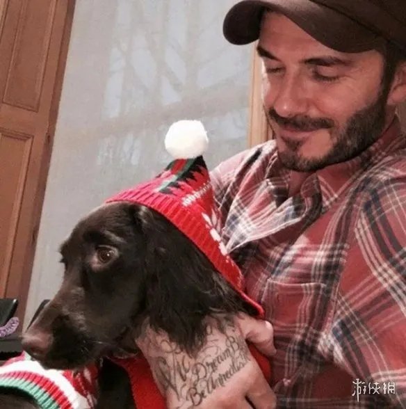 人不如狗！贝克汉姆爱狗披价值五万元毯子被网友炮轰