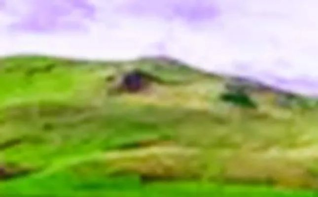 大山里的故事散文