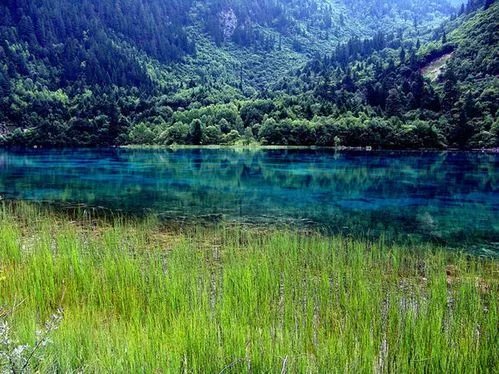 九寨沟旅游自助旅游全攻略