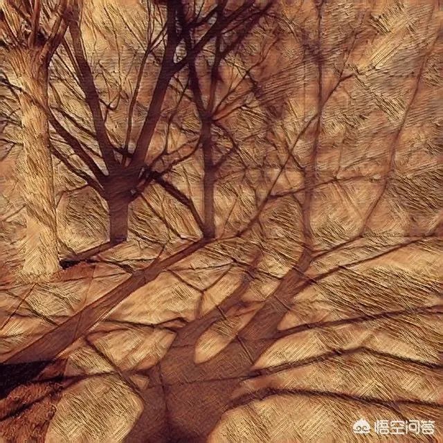 如何利用手机app让一张照片“起死回生”?