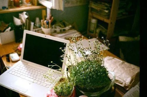 步步高升唐诚马玉婷 步步高升小说无删减版