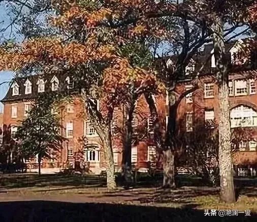 加拿大是一个什么类型的国家，为什么感觉在新闻上经常看不到？