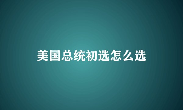 美国总统初选怎么选