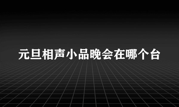 元旦相声小品晚会在哪个台