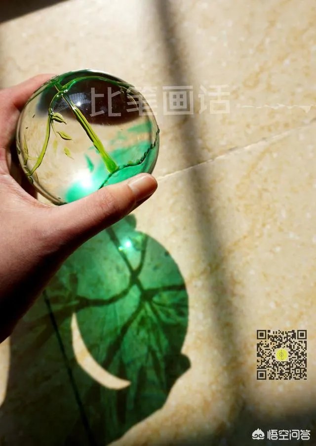 有哪些清新可爱的手机壁纸可以推荐？