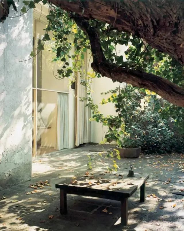 老来有个小院，不胜欢欣！